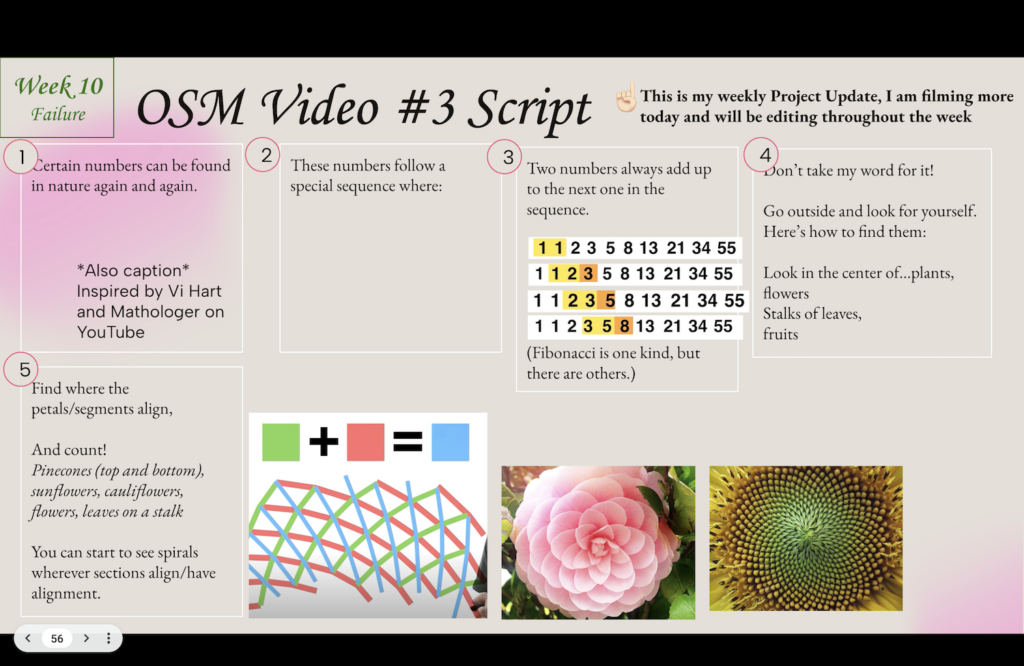 Video #2 voiceover script, using storyboard squares.